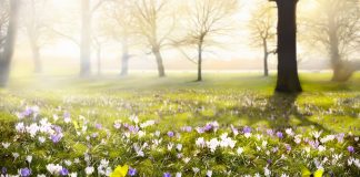 Leuke sporten voorjaar 1