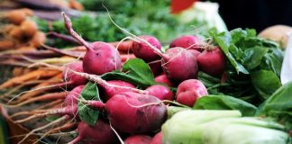 duurzaam en gezond leven