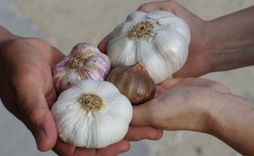 Candida? Deze tips gaan je helpen Tips bij Candida
