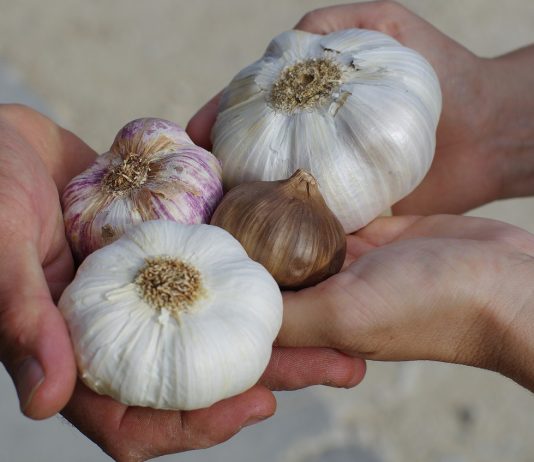Tips bij Candida