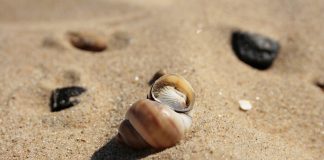 Strand gezond