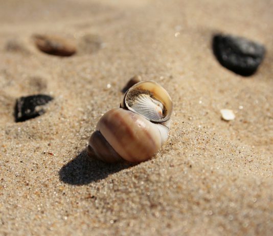 Strand gezond