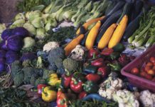 biologisch eten